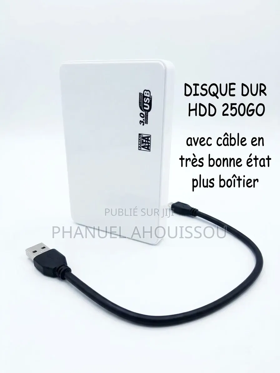 Disque Dur HDD (256 GO)