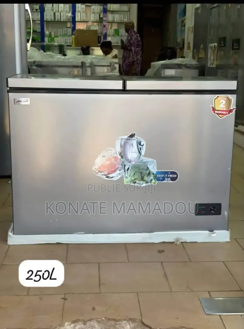 Frigo Électrique