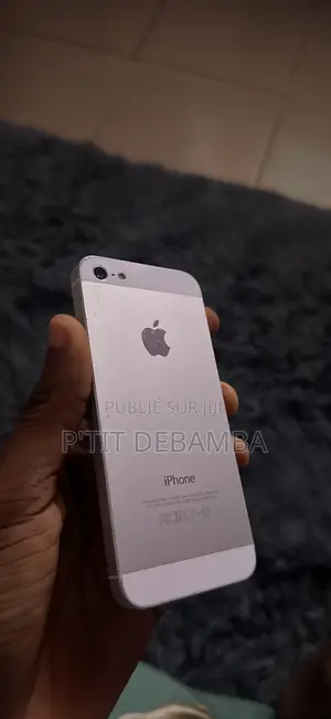 Apple iPhone 5 16 GB Argenté