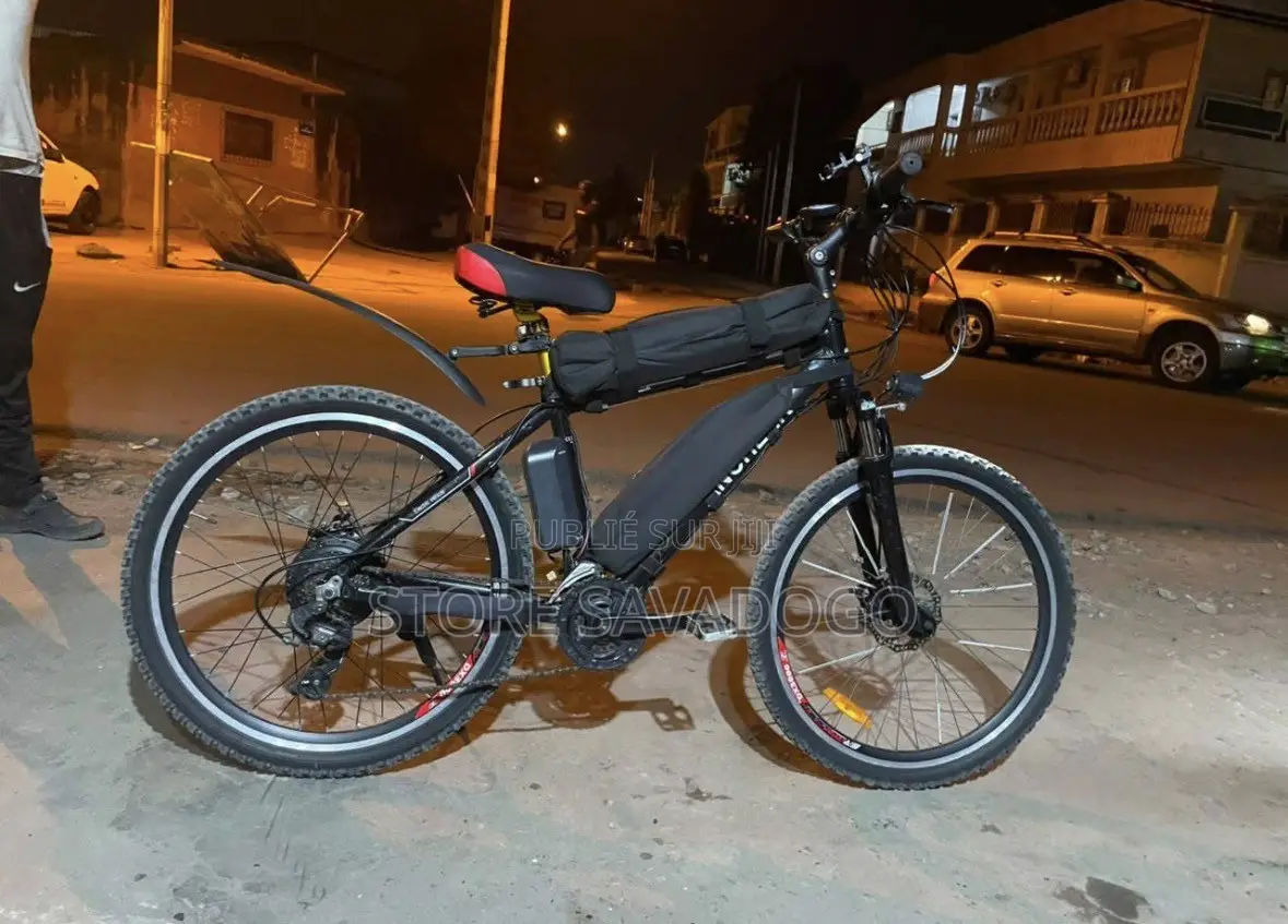 Vélo Électrique