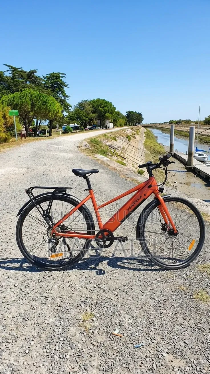 Vélo Roulant