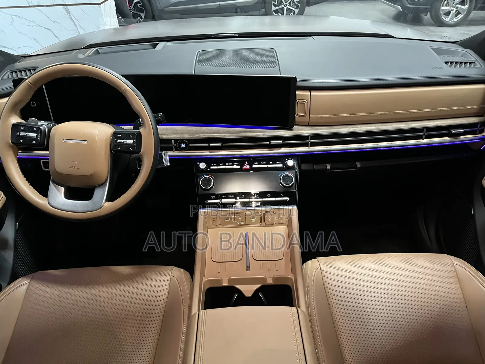 Hyundai Santa Fe 2024 Marron