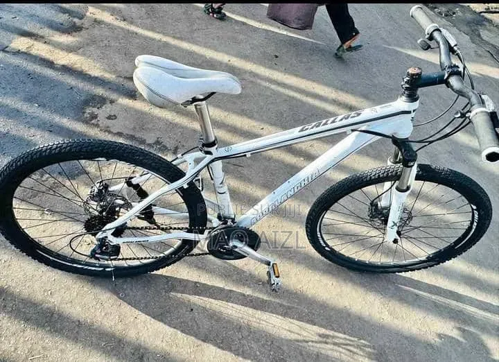 Vélo Roulant