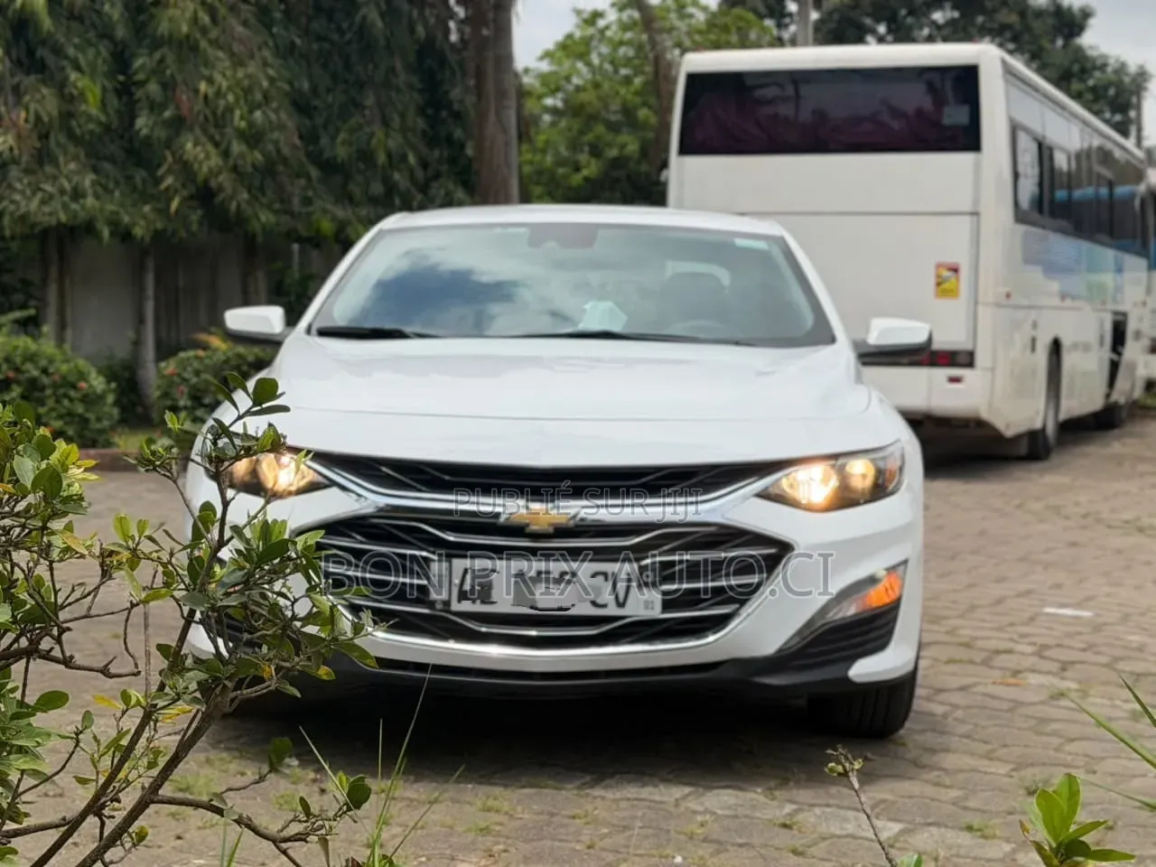 Chevrolet Malibu 1LT 2024 Blanc