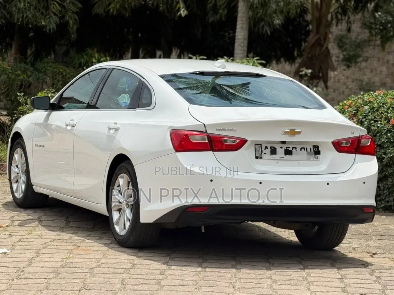 Chevrolet Malibu 1LT 2024 Blanc