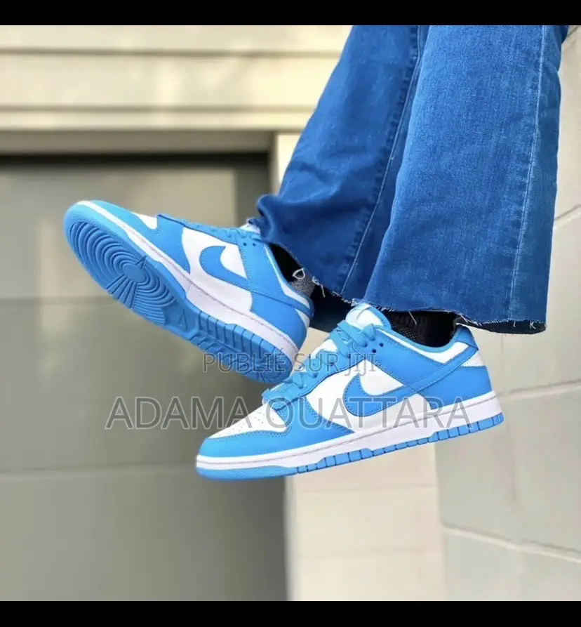 Chaussures Nike Sb