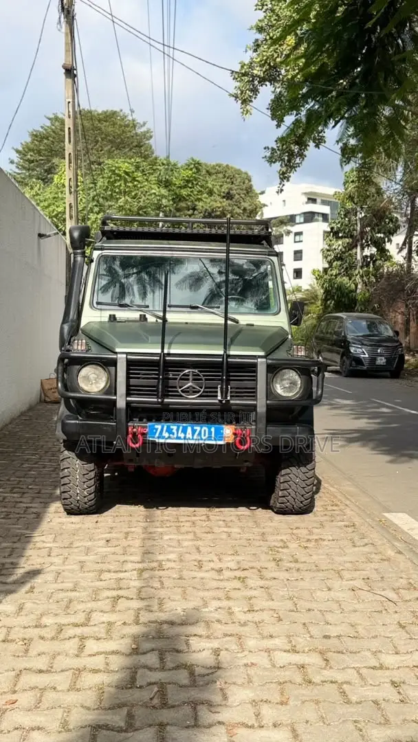 Mercedes-Benz G-Class 1992 Vert
