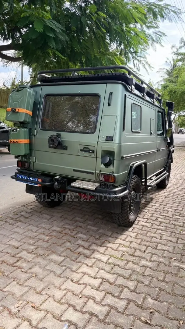 Mercedes-Benz G-Class 1992 Vert