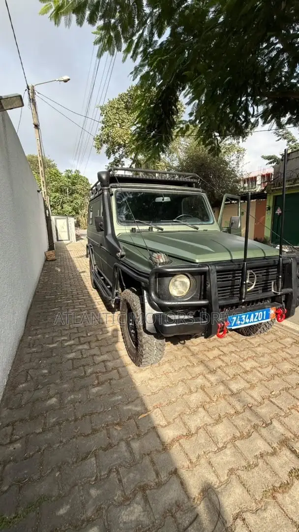 Mercedes-Benz G-Class 1992 Vert