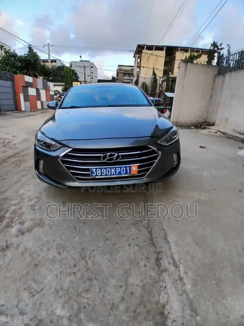 Hyundai Elantra 2017 Gris