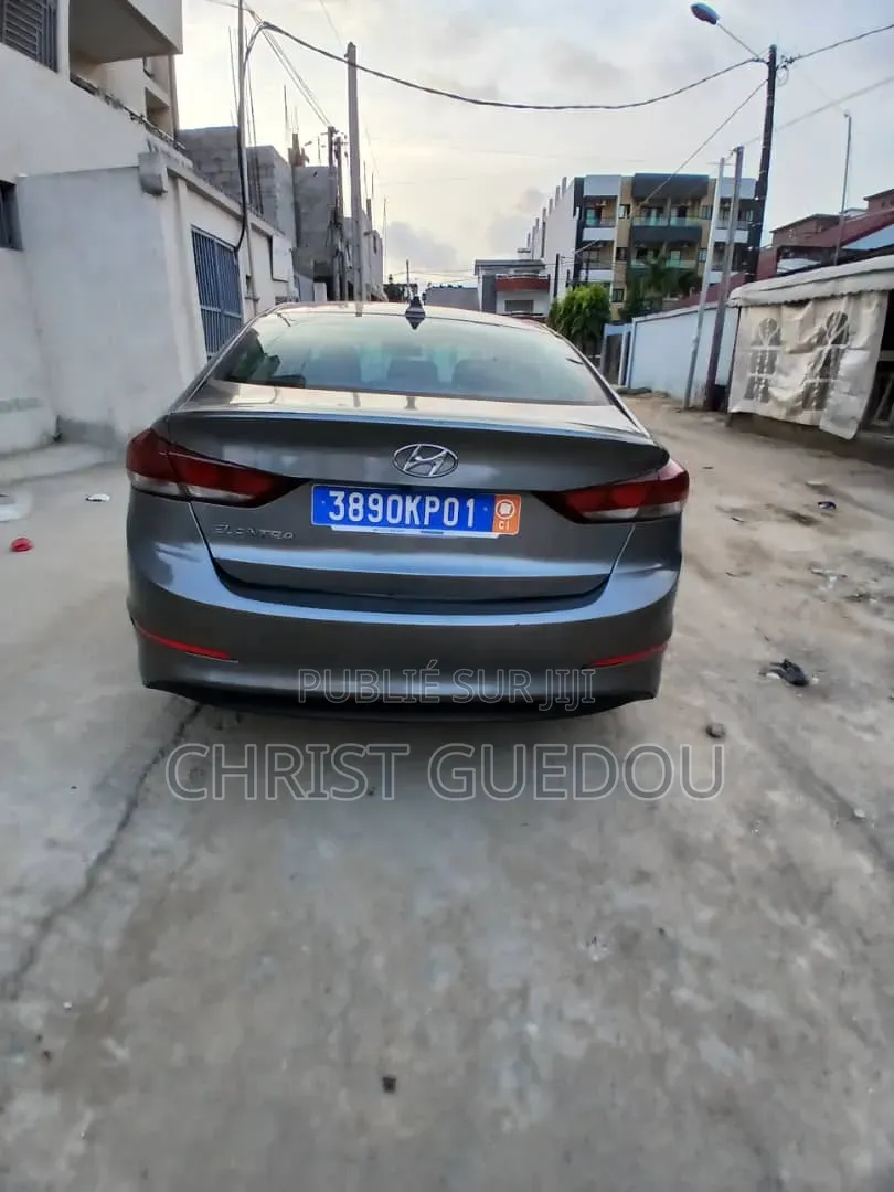 Hyundai Elantra 2017 Gris