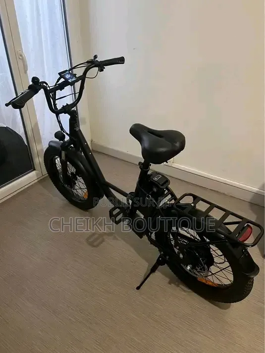 Vélo Électrique