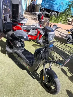 Scooter Électrique