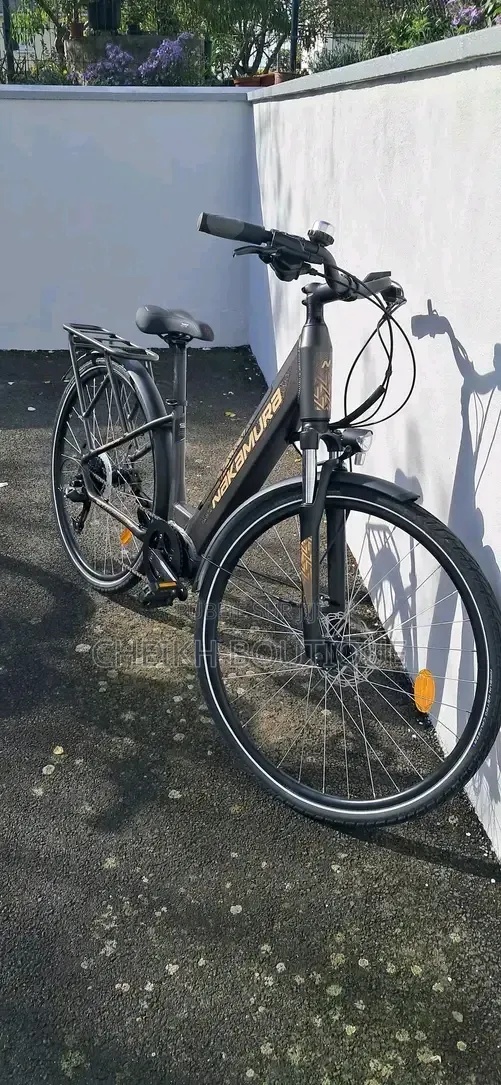 Vélo Électrique