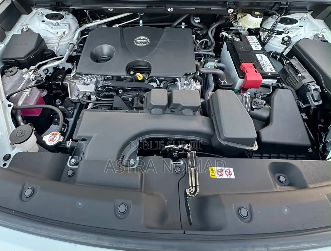 Toyota RAV4 2026 Blanc