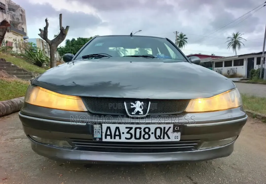 Peugeot 406 2002 Gris