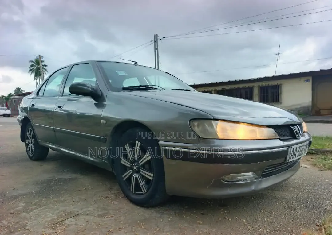 Peugeot 406 2002 Gris
