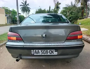 Peugeot 406 2002 Gris