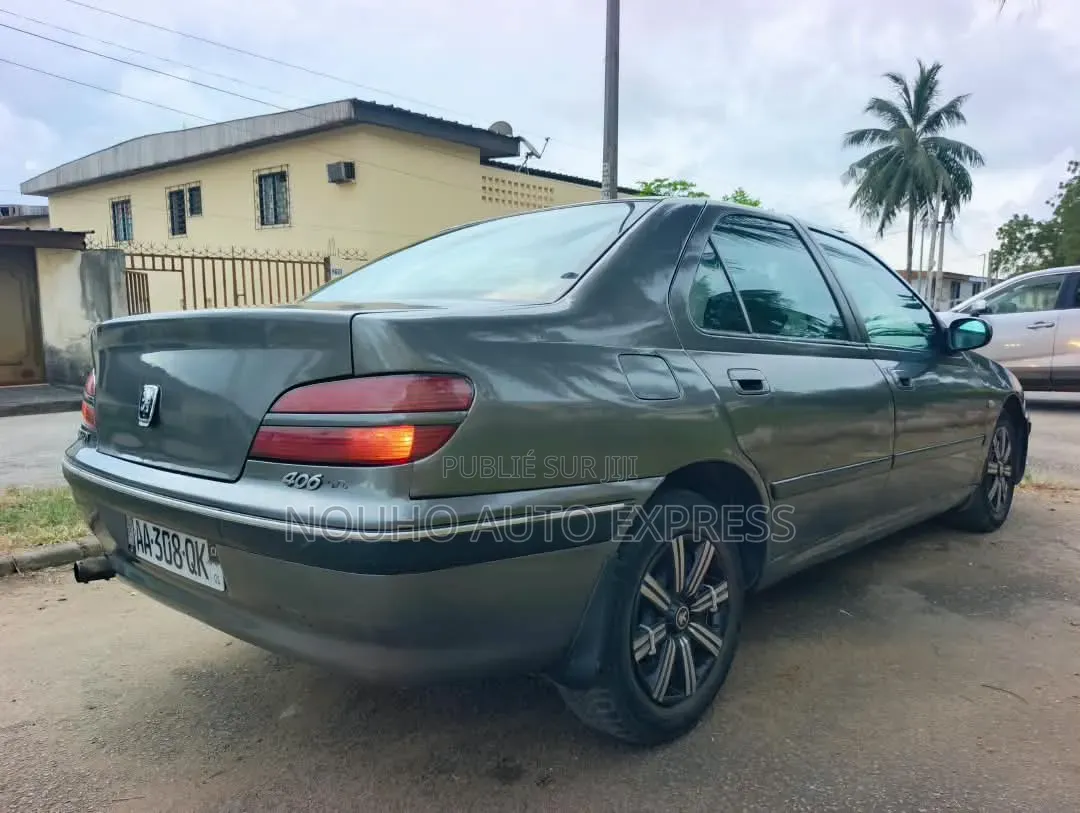 Peugeot 406 2002 Gris