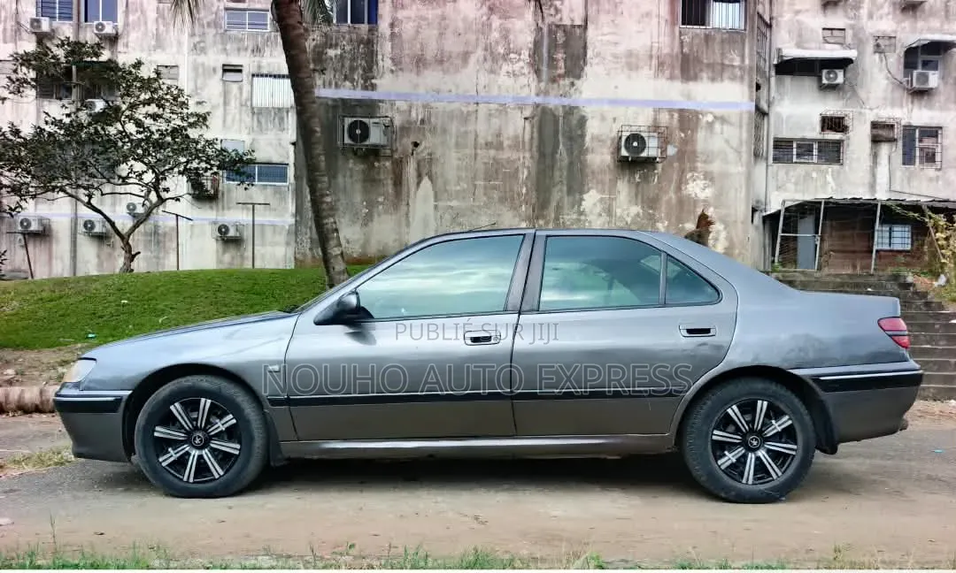 Peugeot 406 2002 Gris