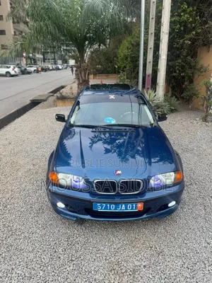BMW 3 Series 316i RWD 2003 Bleu