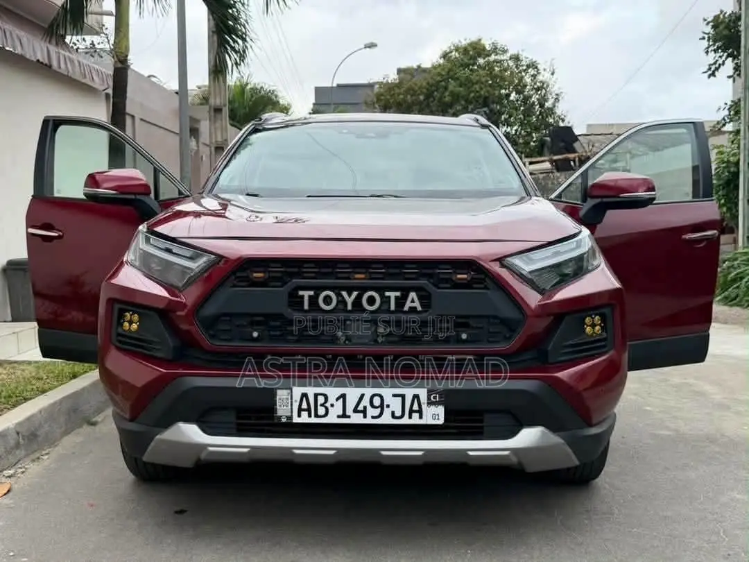 Toyota RAV4 2024 Rouge