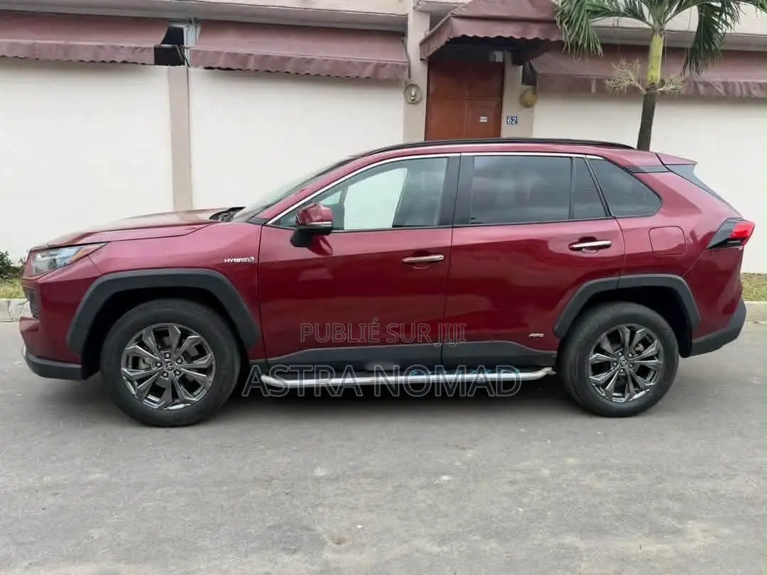 Toyota RAV4 2024 Rouge