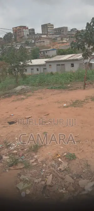 Vente De Terrain Et Maison