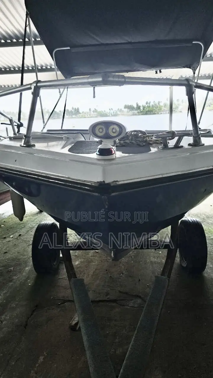 Bateau Plaisance Moteur 150chevaux Yamaha 4 Temp