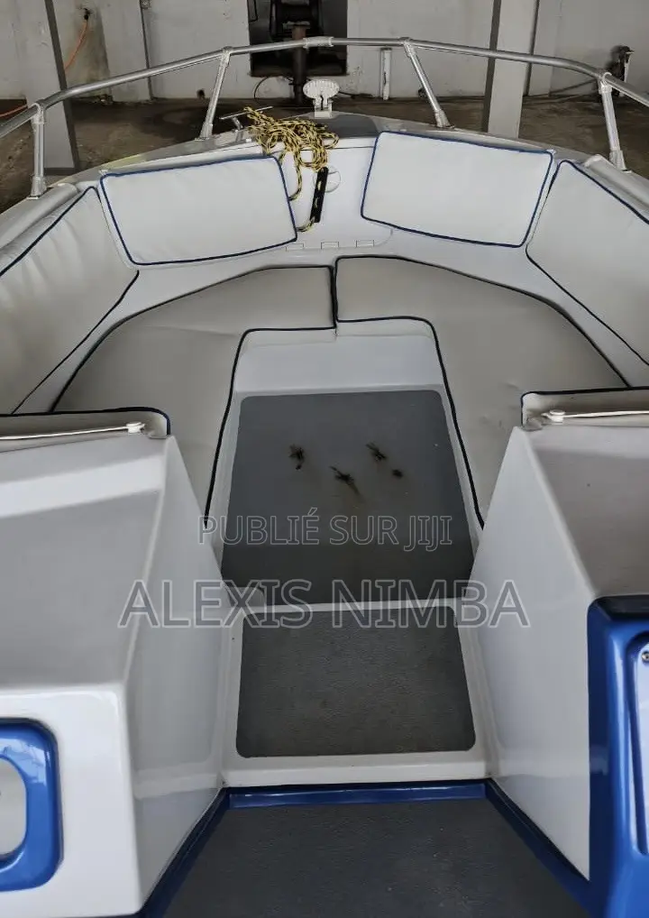 Bateau Plaisance Moteur 150chevaux Yamaha 4 Temp
