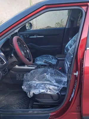 Kia Seltos 2021 Orange