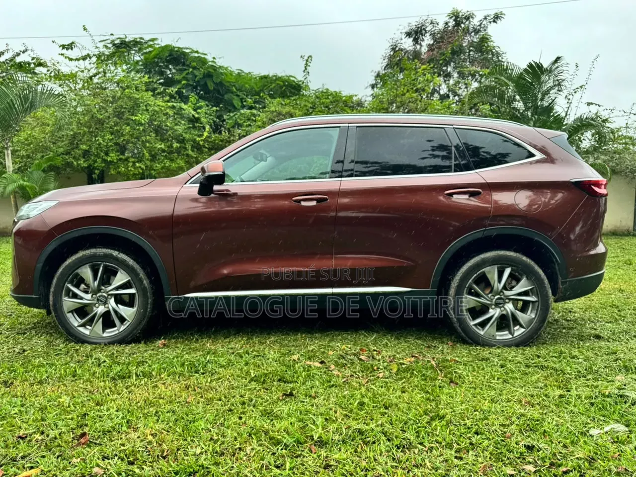 Haval H6 2022 Bordeaux