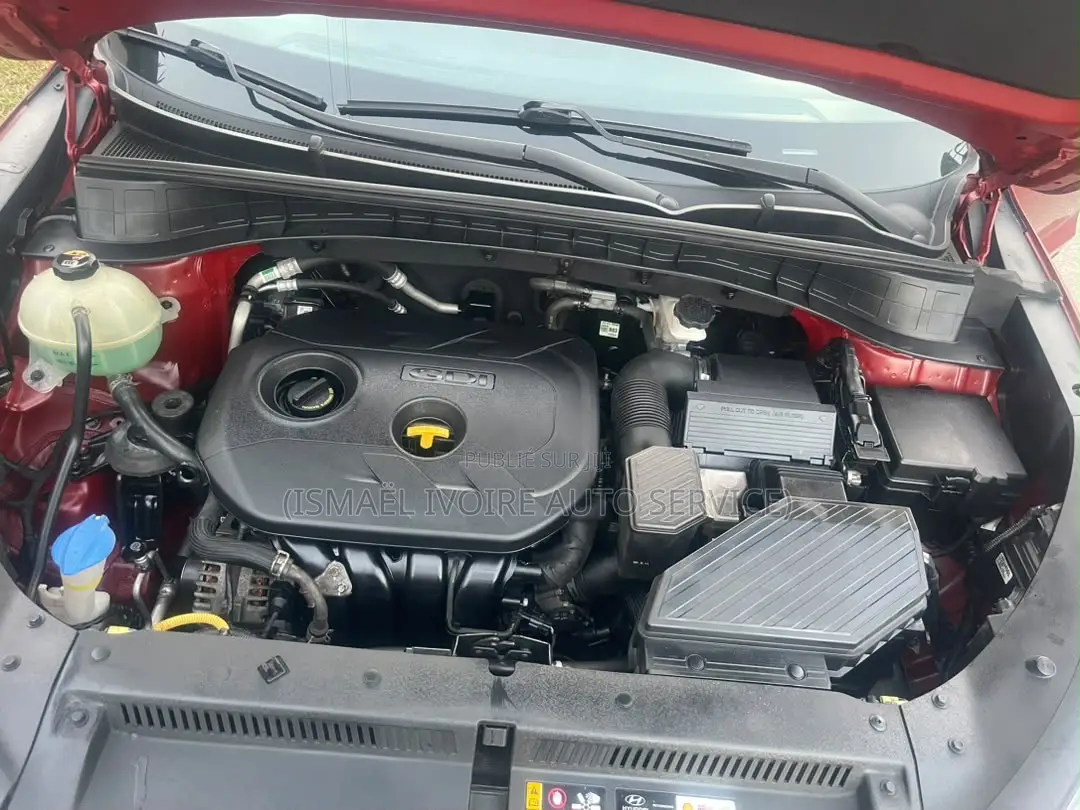 Hyundai Tucson 2021 Rouge