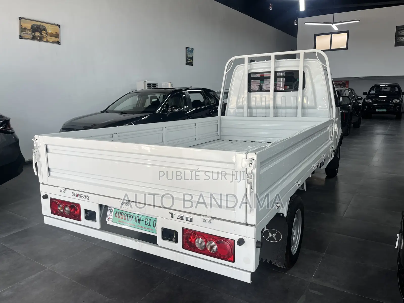 Mini Camionnette Pour Livraison