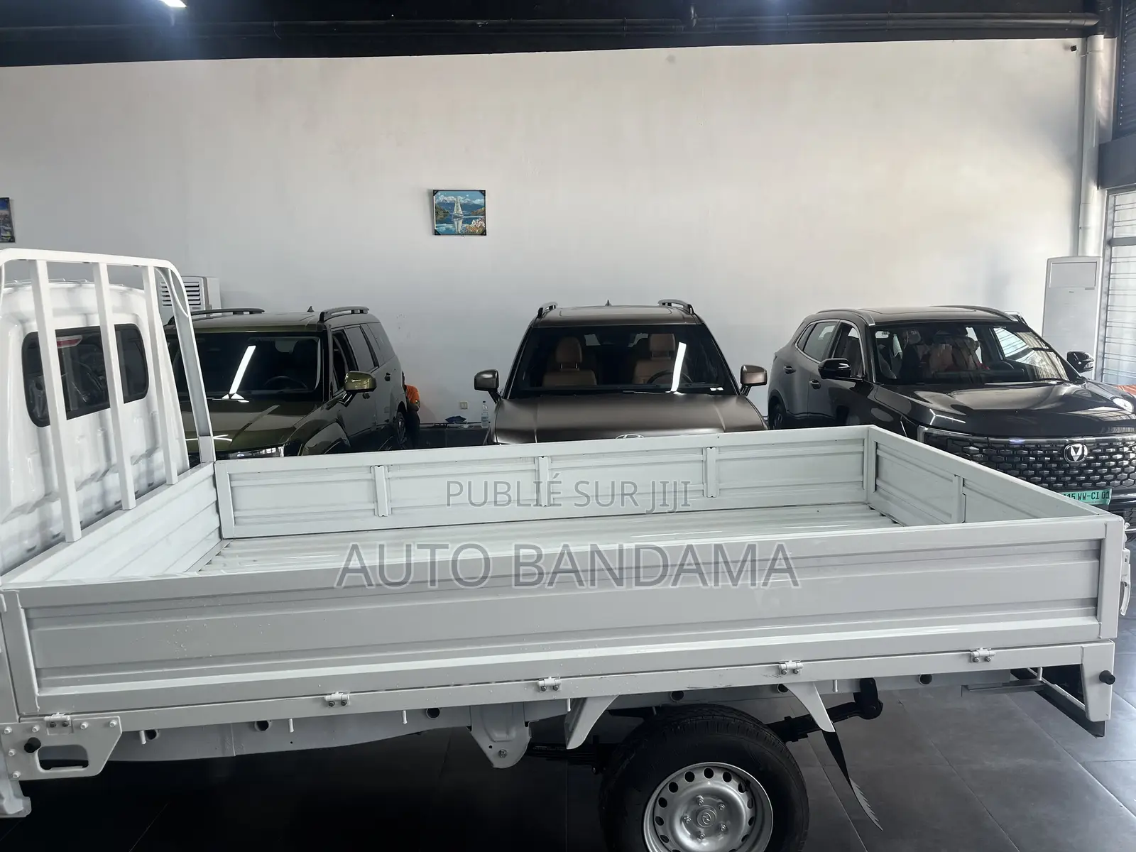 Mini Camionnette Pour Livraison