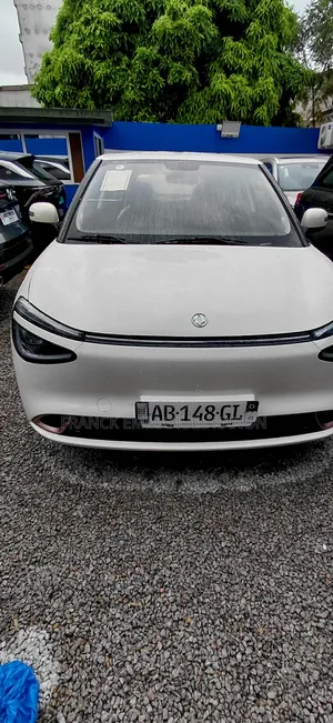 Nouveau Dongfeng Nammi 01 31.45 kWh 330 Lite 2025 Blanc