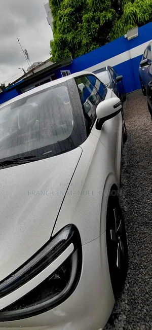 Nouveau Dongfeng Nammi 01 31.45 kWh 330 Lite 2025 Blanc