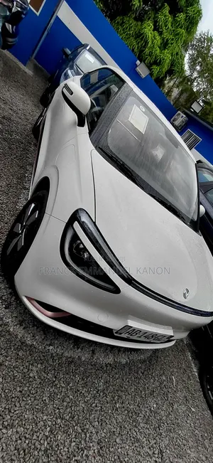 Nouveau Dongfeng Nammi 01 31.45 kWh 330 Lite 2025 Blanc