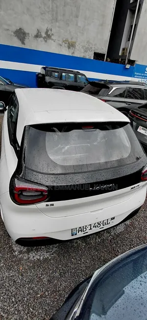 Nouveau Dongfeng Nammi 01 31.45 kWh 330 Lite 2025 Blanc