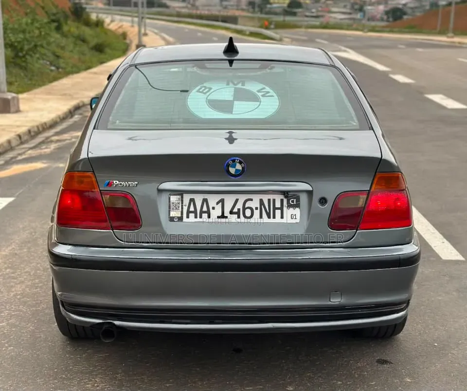 BMW 3 Series 316i RWD 2004 Gris