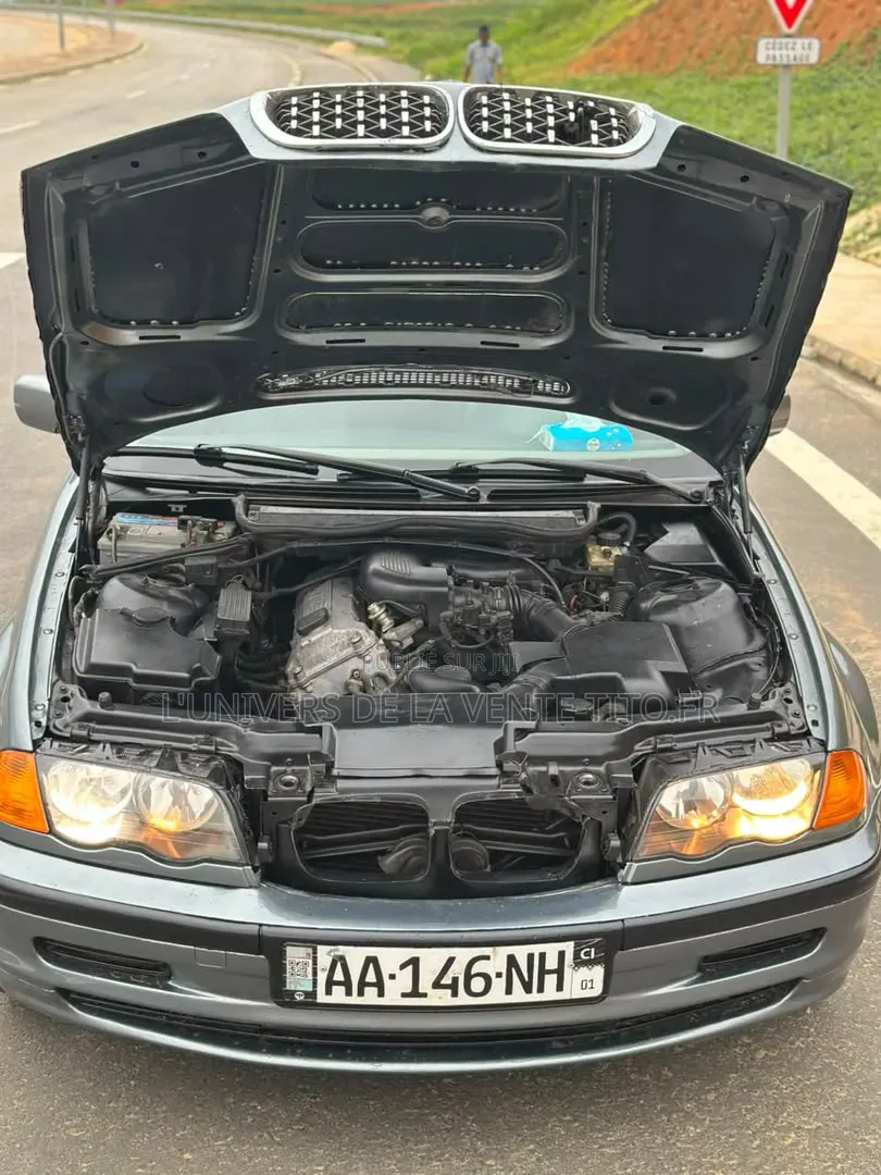 BMW 3 Series 316i RWD 2004 Gris