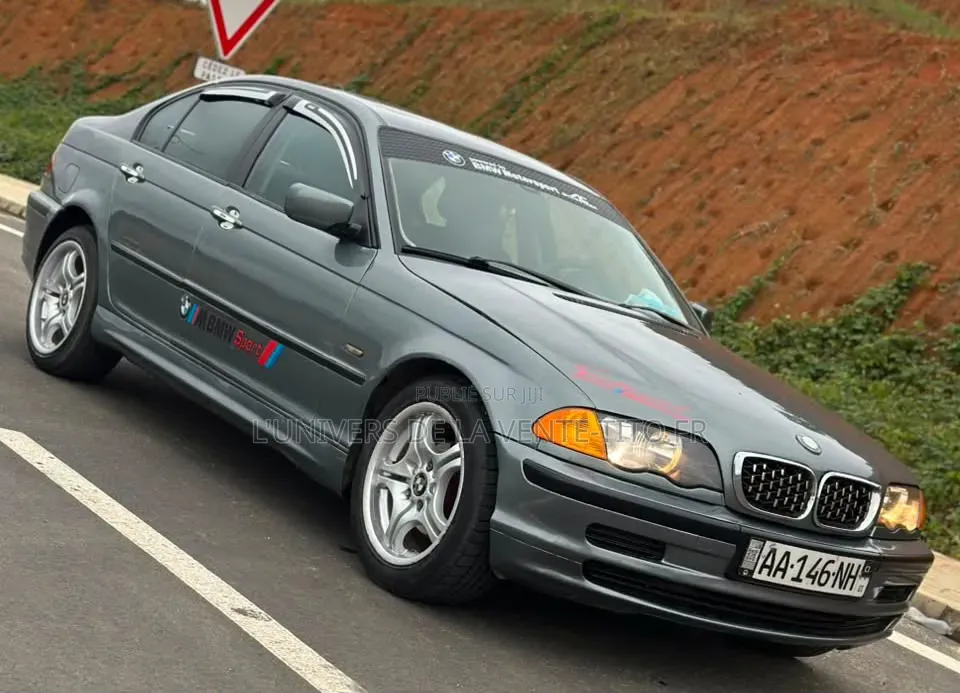 BMW 3 Series 316i RWD 2004 Gris