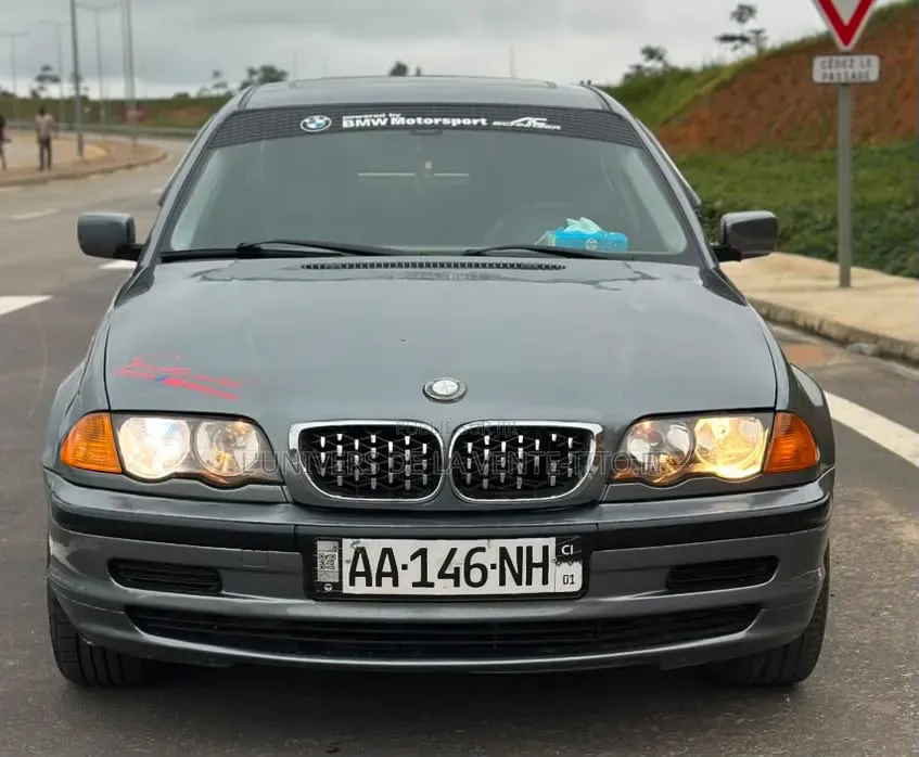 BMW 3 Series 316i RWD 2004 Gris