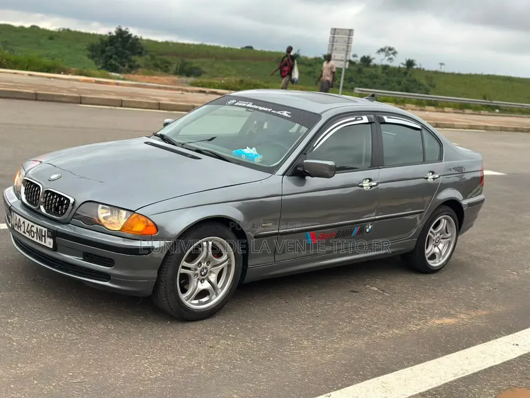 BMW 3 Series 316i RWD 2004 Gris