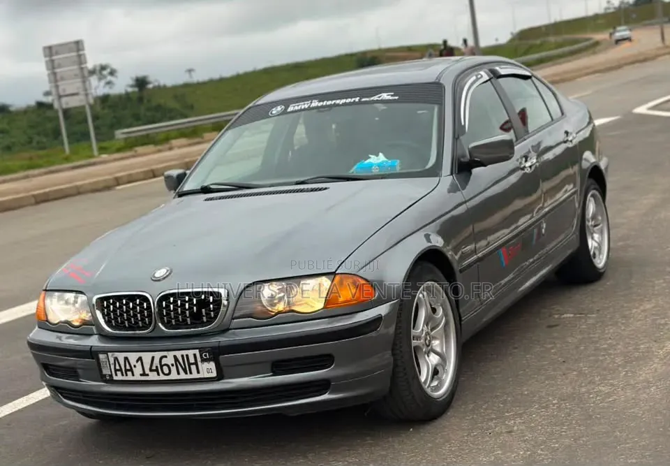 BMW 3 Series 316i RWD 2004 Gris