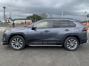 Toyota RAV4 Limited AWD 2020 Gris
