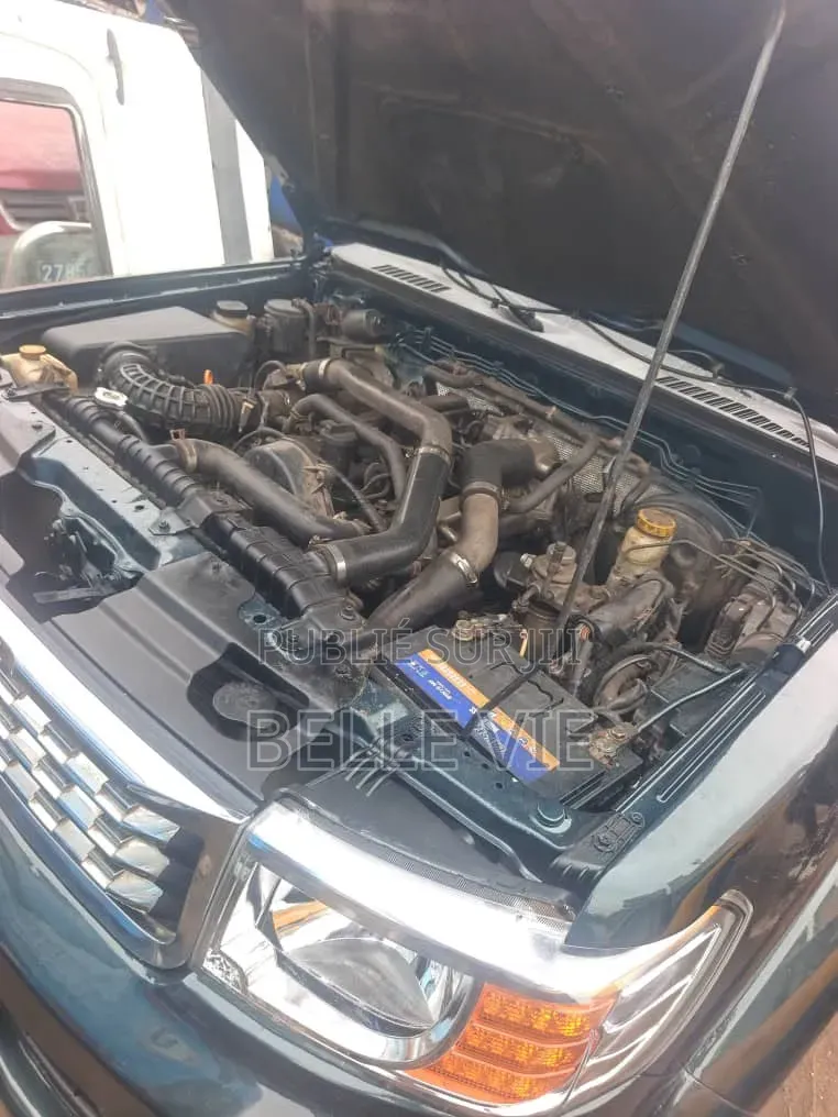 Peugeot 204 2019 Vert