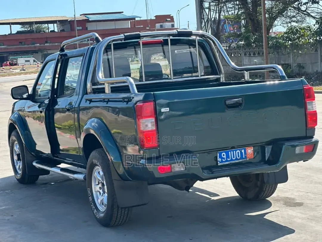 Peugeot 204 2019 Vert