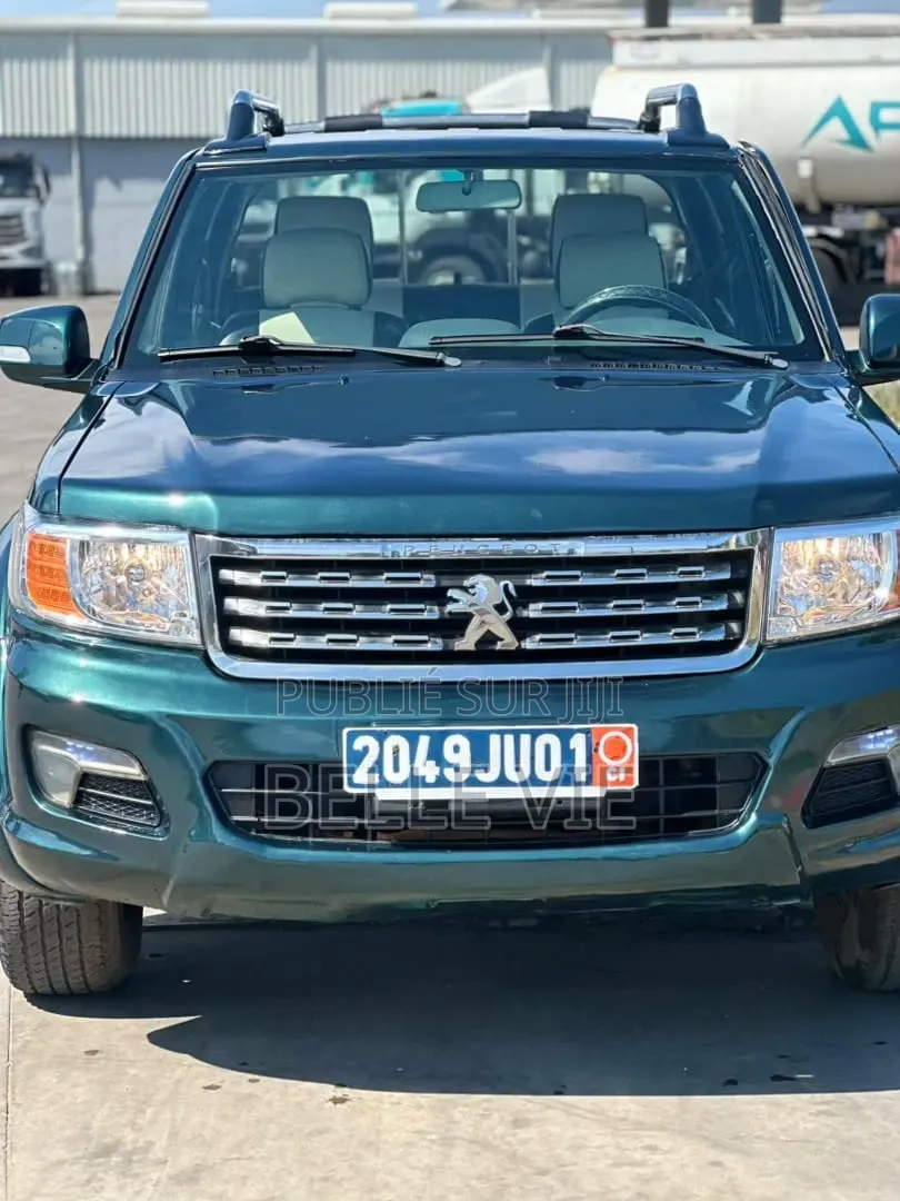 Peugeot 204 2019 Vert