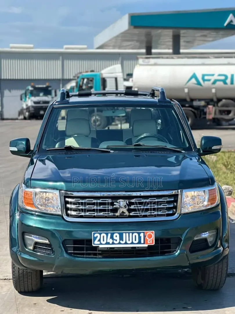 Peugeot 204 2019 Vert